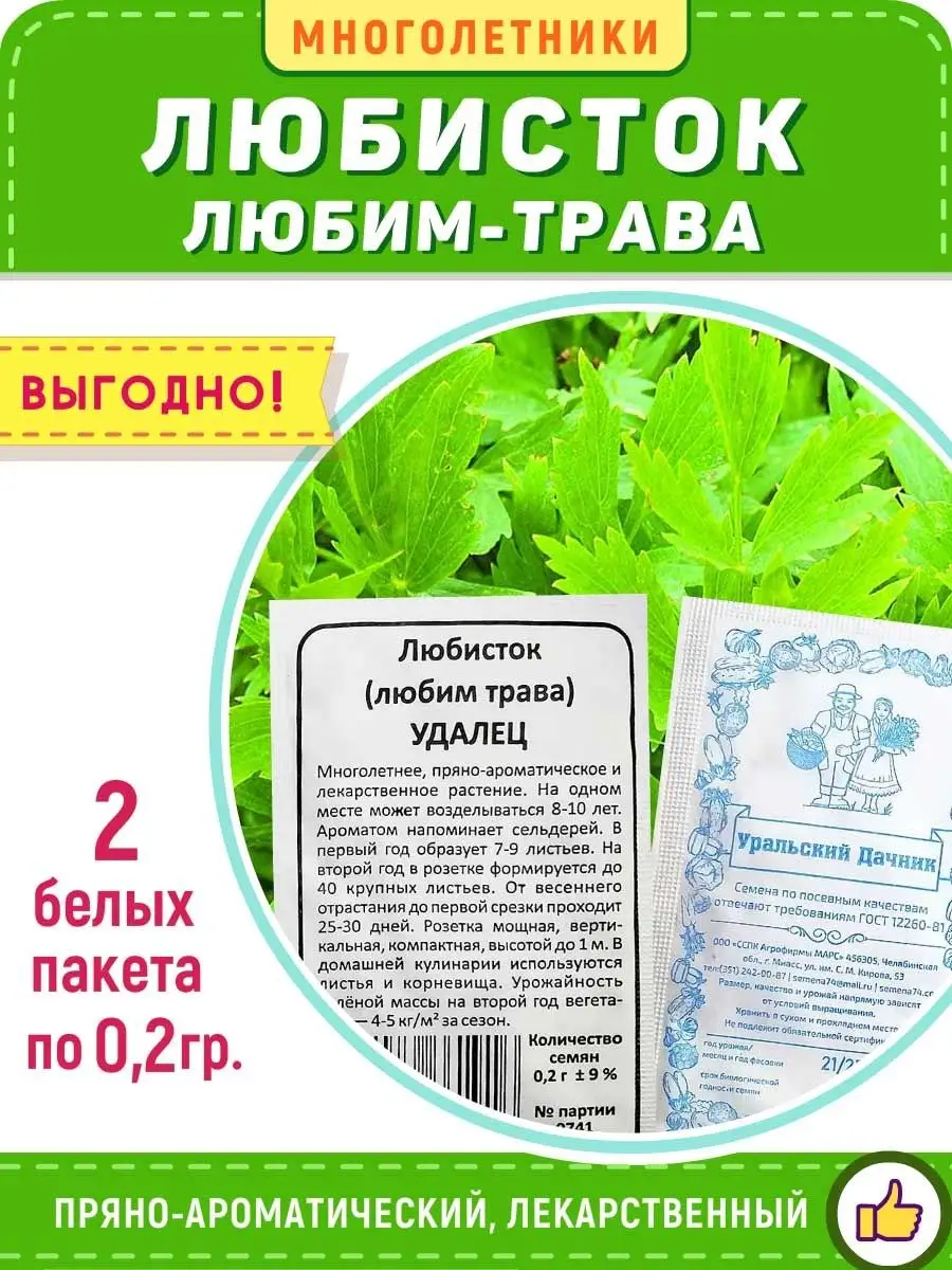 Любисток Любим Трава Уральский Дачник 164095786 купить в интернет-магазине  Wildberries