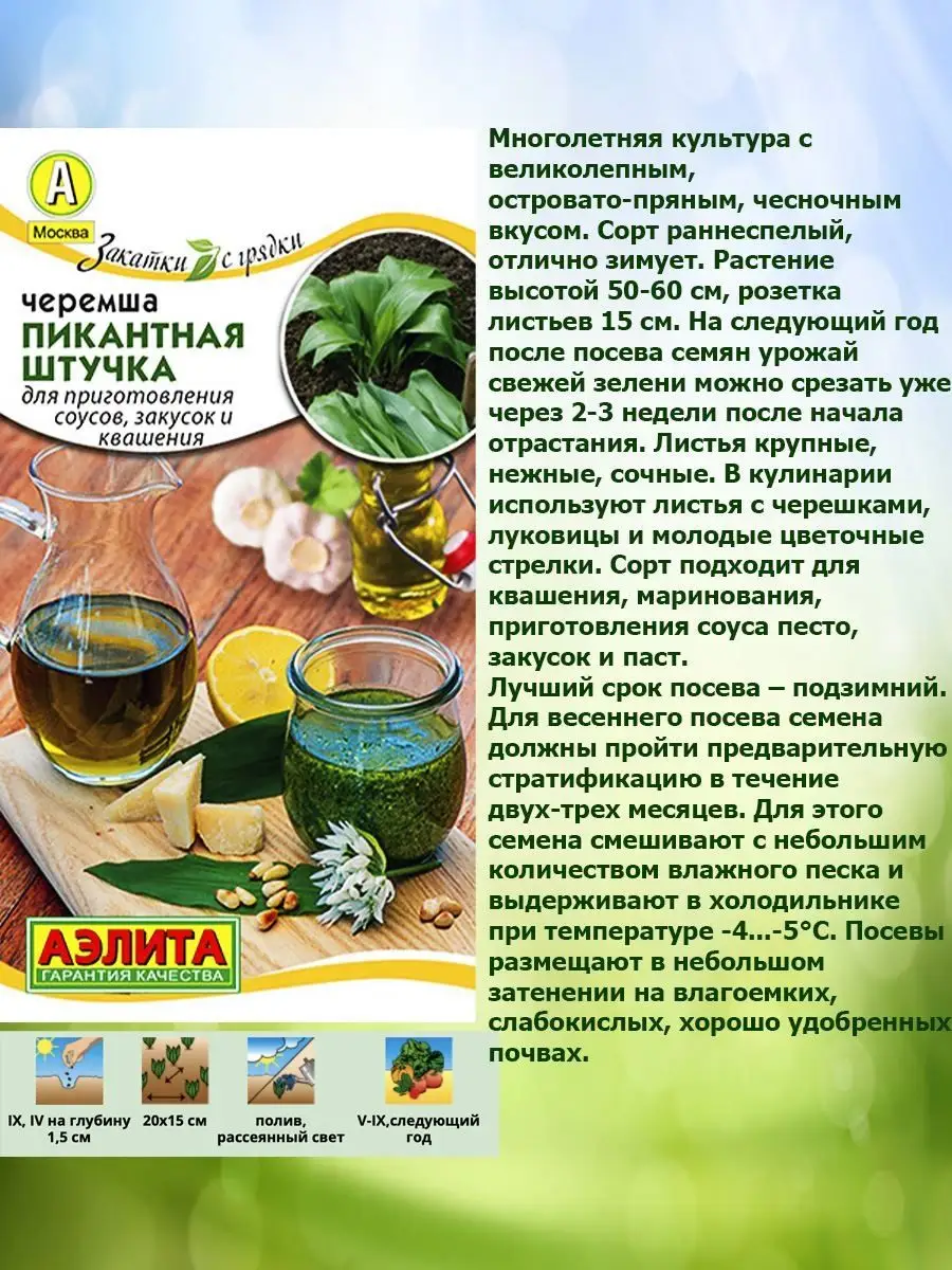 Семена черемша Агрофирма Аэлита 164106725 купить в интернет-магазине  Wildberries