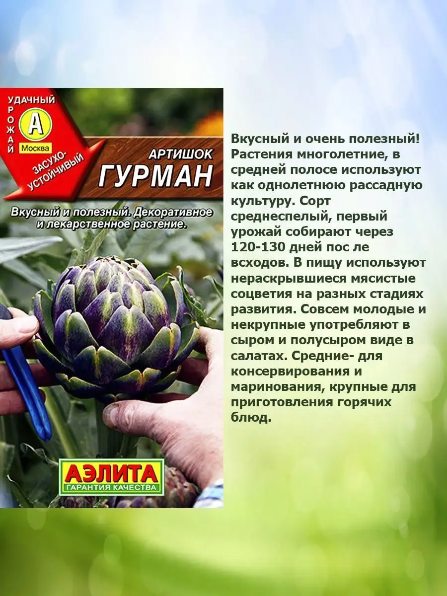 Семена артишок Агрофирма Аэлита 164109870 купить в интернет-магазине  Wildberries