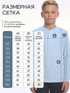 Рубашка поло с длинным рукавом ДО-Детская Одежда. Цвет голубой. Вид 4.
