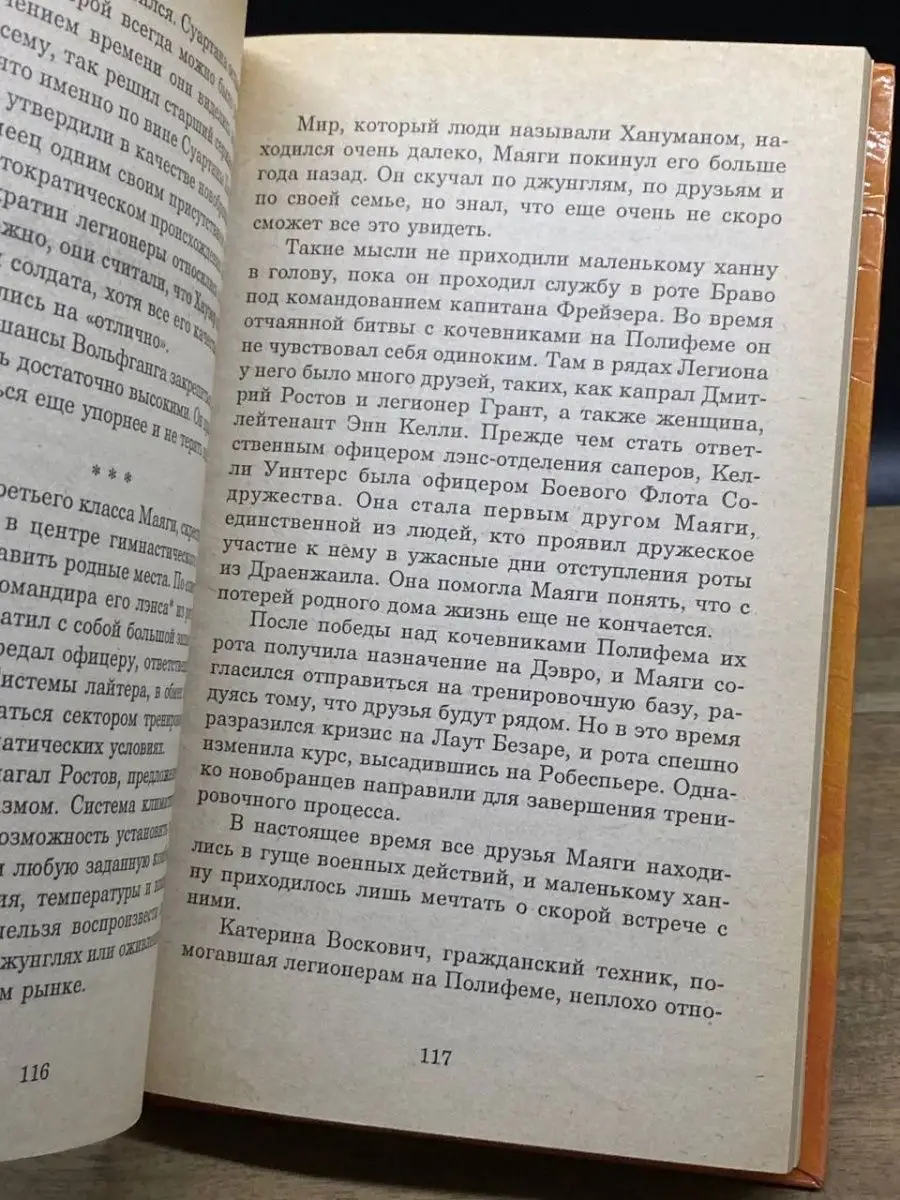 Пятый Иностранный Легион. Книга 3 Русич 164132747 купить за 274 ₽ в  интернет-магазине Wildberries