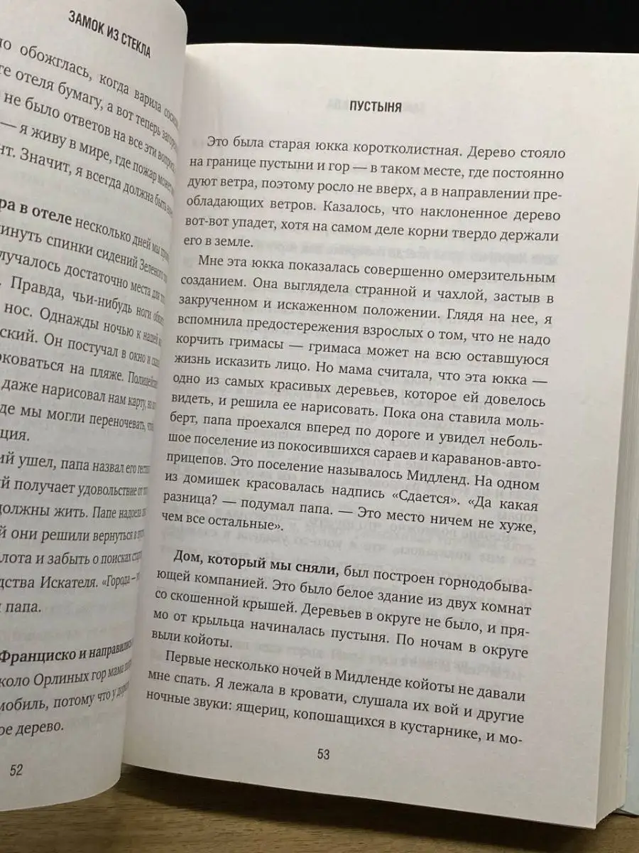 Замок из стекла. Что скрывает прошлое Бомбора 164140003 купить в  интернет-магазине Wildberries