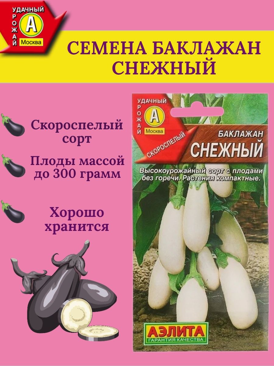 Баклажан снежок. Баклажан снежный.