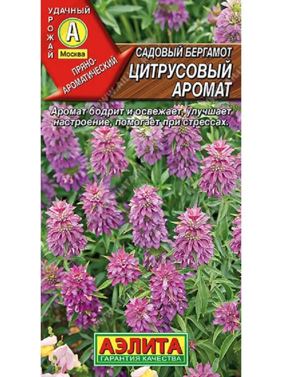 Семена бергамота садовый Агрофирма Аэлита 164146556 купить за 98 ₽ в  интернет-магазине Wildberries