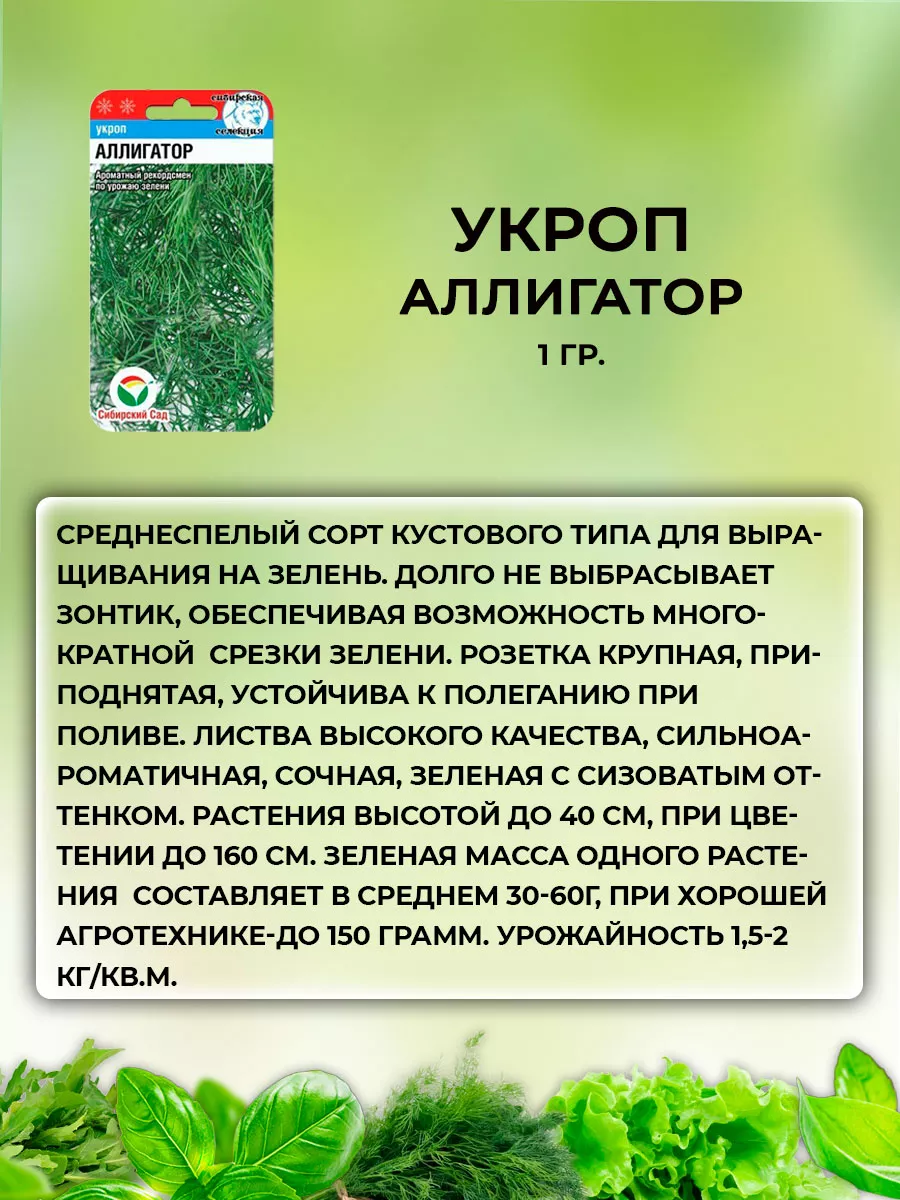 Семена Зелени базилик рукола укроп ля подоконника Сибирский сад 164148424  купить за 212 ₽ в интернет-магазине Wildberries