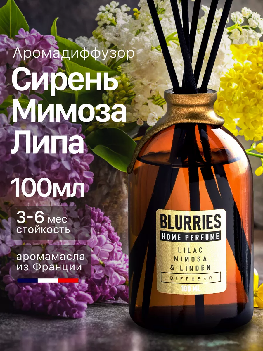 Ароматический диффузор для дома с палочками, 100мл Blurries 164165785  купить за 701 ₽ в интернет-магазине Wildberries