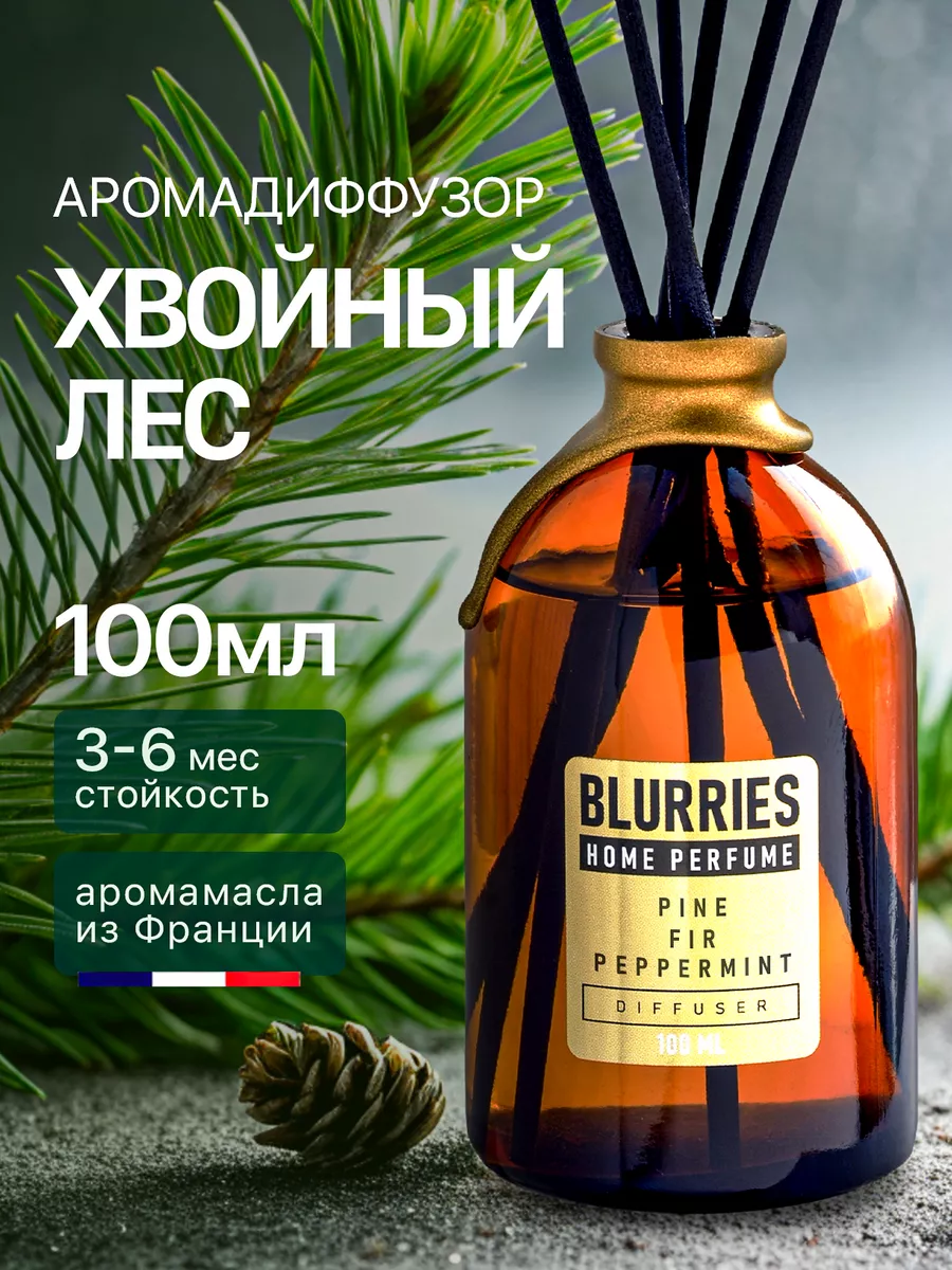 Ароматический диффузор для дома с палочками, 100мл Blurries 164167080  купить за 708 ₽ в интернет-магазине Wildberries