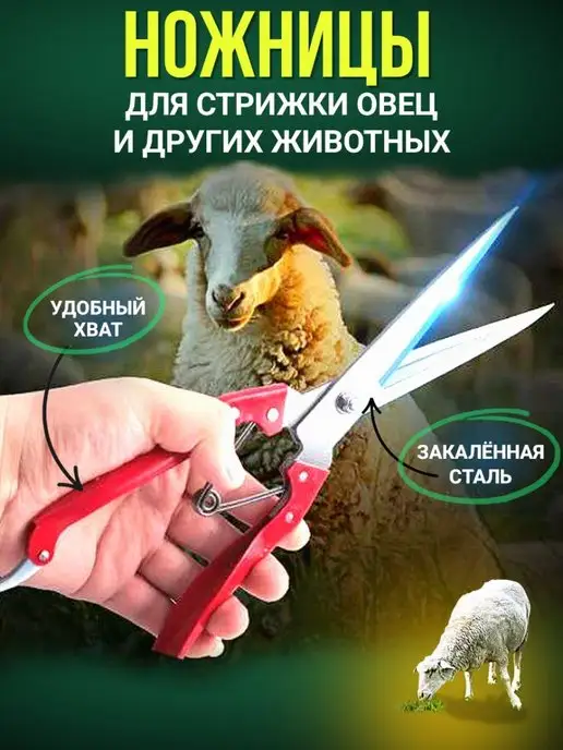 Master New Профессиональные ручные ножницы для стрижки длина 26 см, вариант