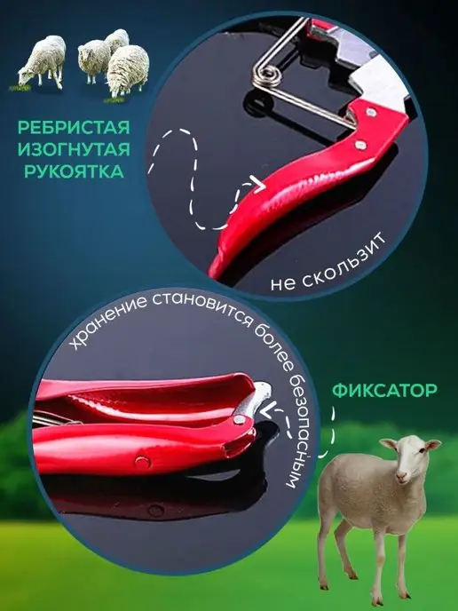 Master New Профессиональные ручные ножницы для стрижки длина 26 см, вариант, фото 6