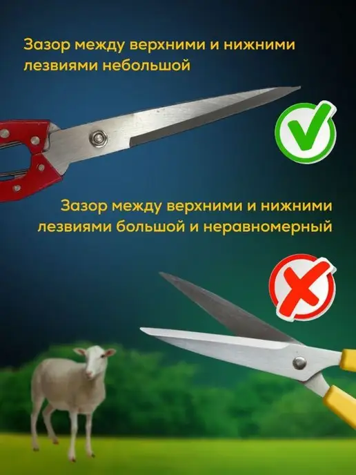 Master New Профессиональные ручные ножницы для стрижки длина 26 см, вариант, фото 8