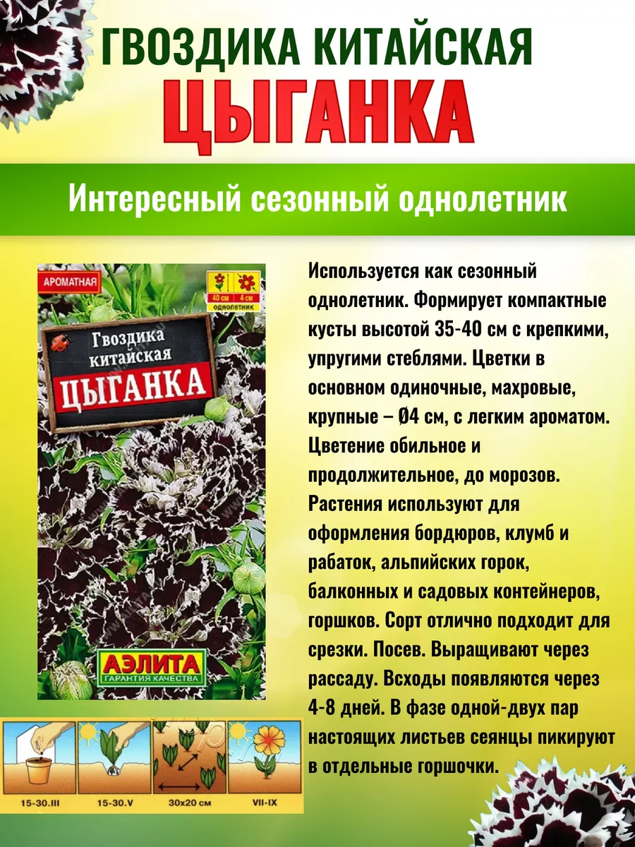 Семена Гвоздика Цыганка китайская Агрофирма Аэлита 164173396 купить за 95 ₽  в интернет-магазине Wildberries