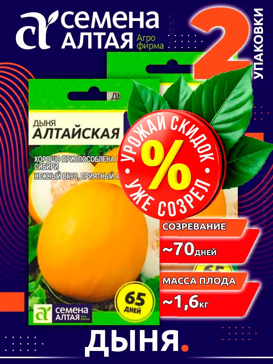 Семена овощей Дыня Алтайская для дачи и огорода