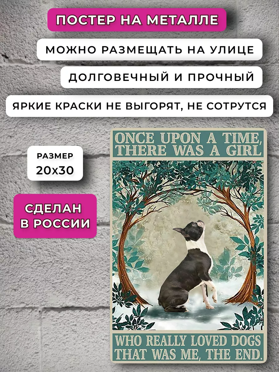 рентген собаки порно