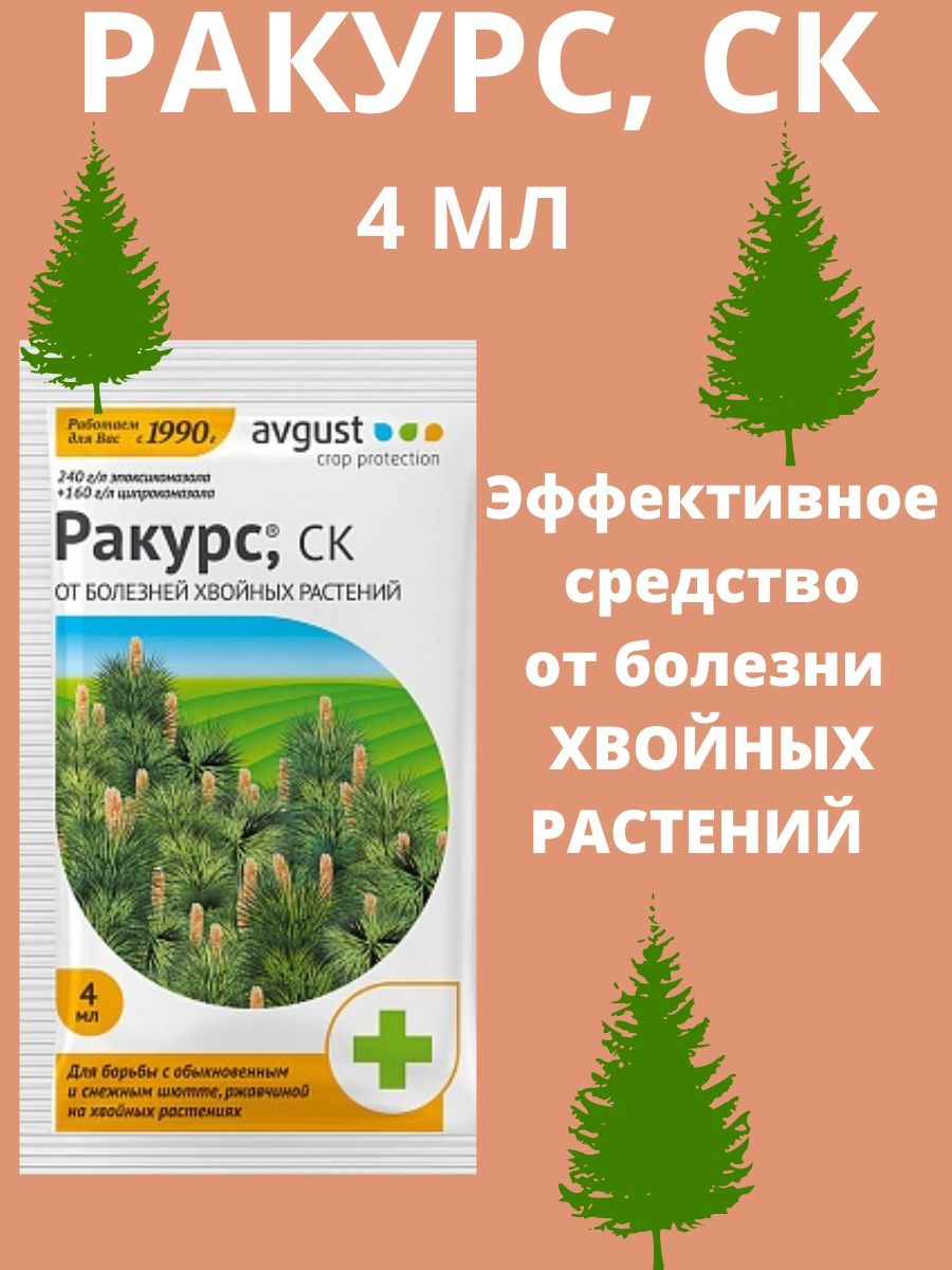 Средство ракурс от болезней хвойных. Ракурс от болезней хвойных растений 4мл. Ракурс препарат для хвойных 10 мл. Ракурс препарат от болезней на 30 литров. Препарат ракурс.