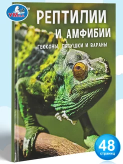 Книга детская энциклопедия развивающая Рептилии и амфибии Умка 164247670 купить за 273 ₽ в интернет-магазине Wildberries