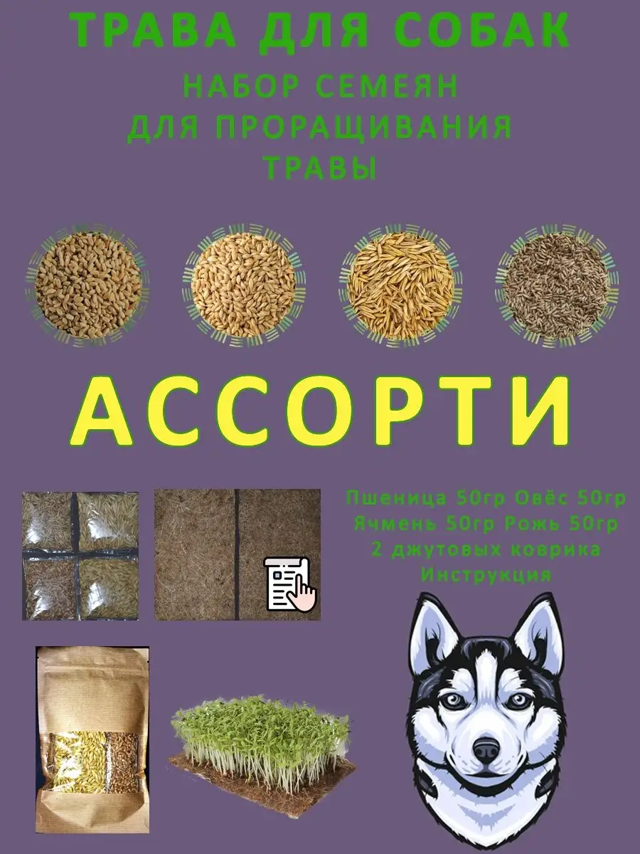 Трава для собак