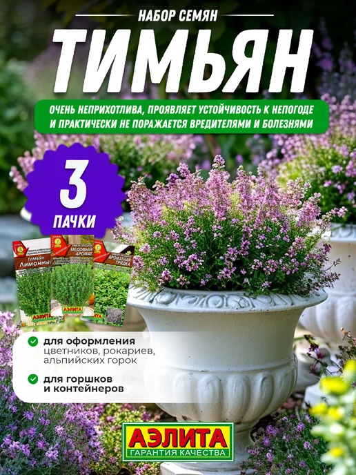 Агрофирма АЭЛИТА Семена тимьяна чабреца 3 шт, 3 шт, фото 2