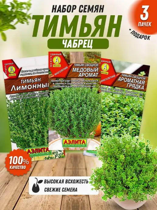 Агрофирма АЭЛИТА Семена тимьяна чабреца 3 шт, 3 шт, фото 3