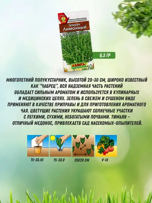 Агрофирма АЭЛИТА Семена тимьяна чабреца 3 шт, 3 шт, фото 5