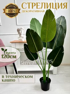 Искусственное дерево Стрелиция 120 см Royal Trees 164327448 купить за 4 500 ₽ в интернет-магазине Wildberries