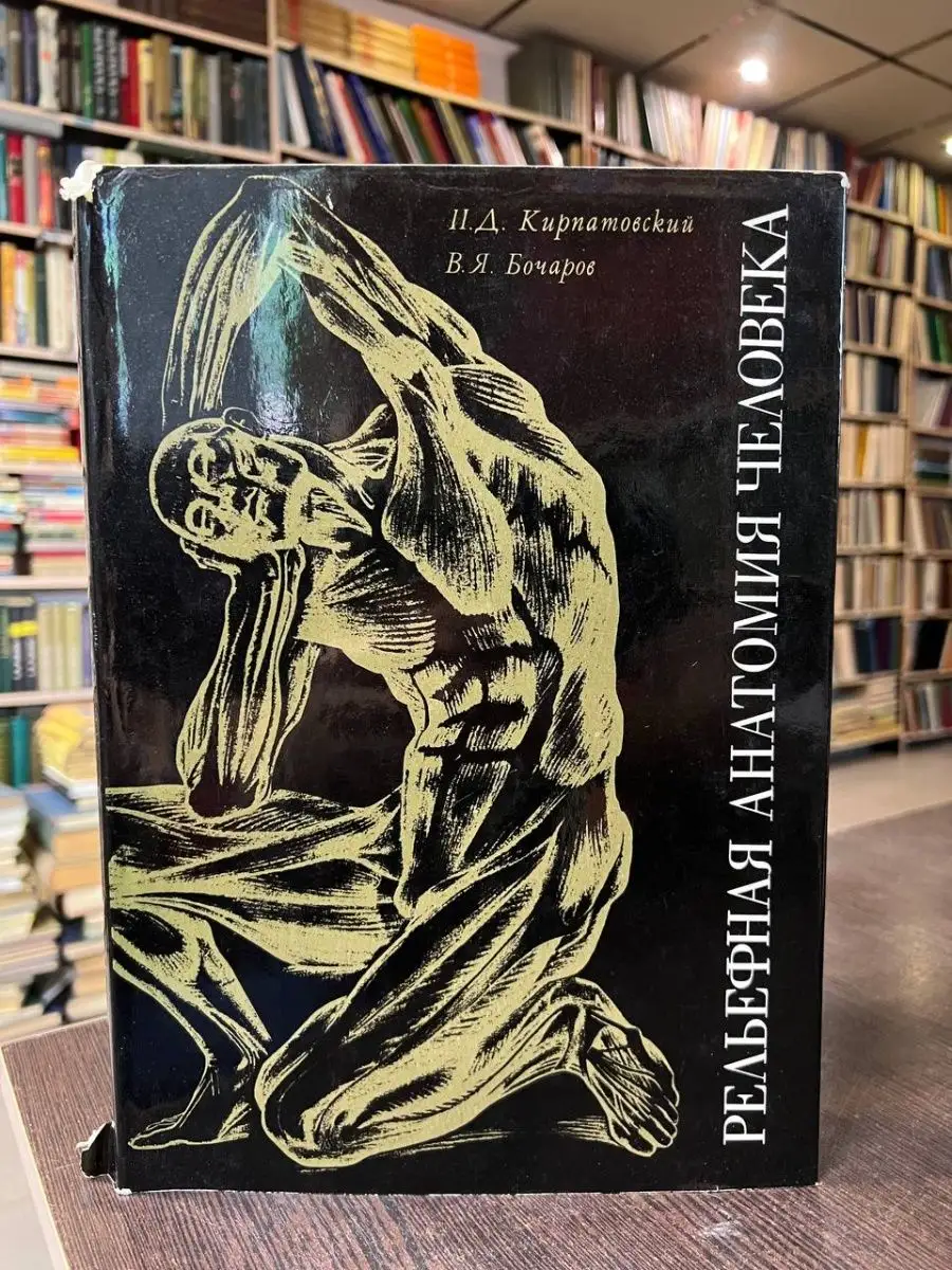 Бочаров В. Рельефная анатомия человека Медицина 164333760 купить в  интернет-магазине Wildberries