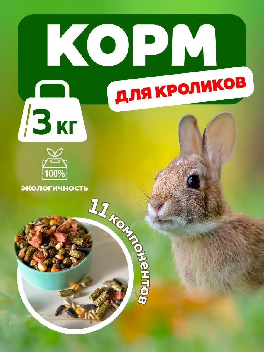 Изготовление бункерной кормушки для кроликов (для чайников)