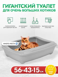 Туалет для кошек, лоток для кошек большой глубокий 56х43х15 PetTails 164373522 купить за 1 048 ₽ в интернет-магазине Wildberries