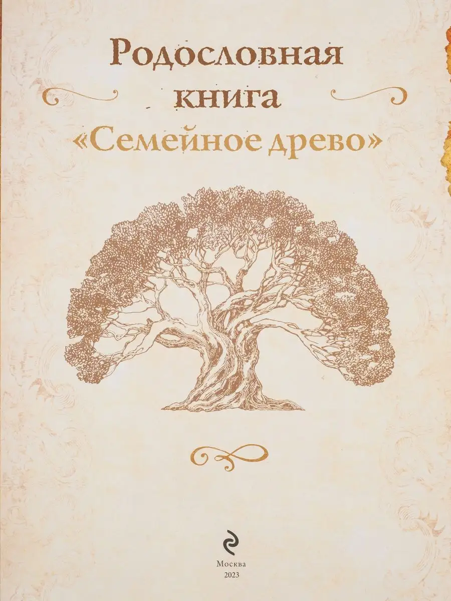 Родословная книга Семейное древо альбом семьи с фоторамками Эксмо 164380836  купить за 1 422 ₽ в интернет-магазине Wildberries