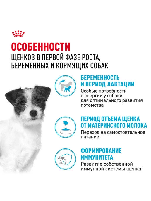 Сухой корм Royal canin Starter для собак, мелкие, щенки, 1 кг, фото 2