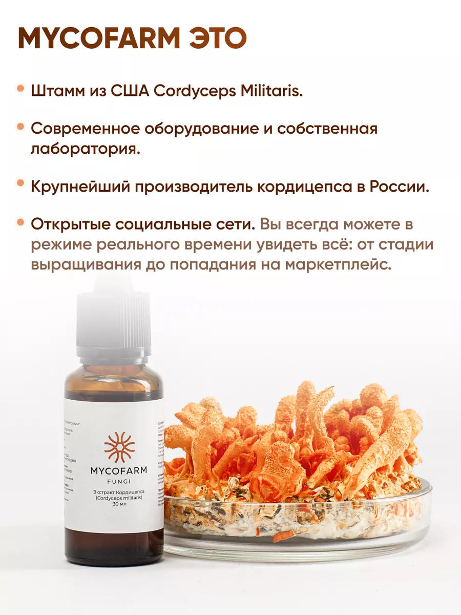 Жидкий экстракт Кордицепс (Cordyceps militaris), 30 мл MycoFarm Fungi  164435075 купить за 2 321 ₽ в интернет-магазине Wildberries