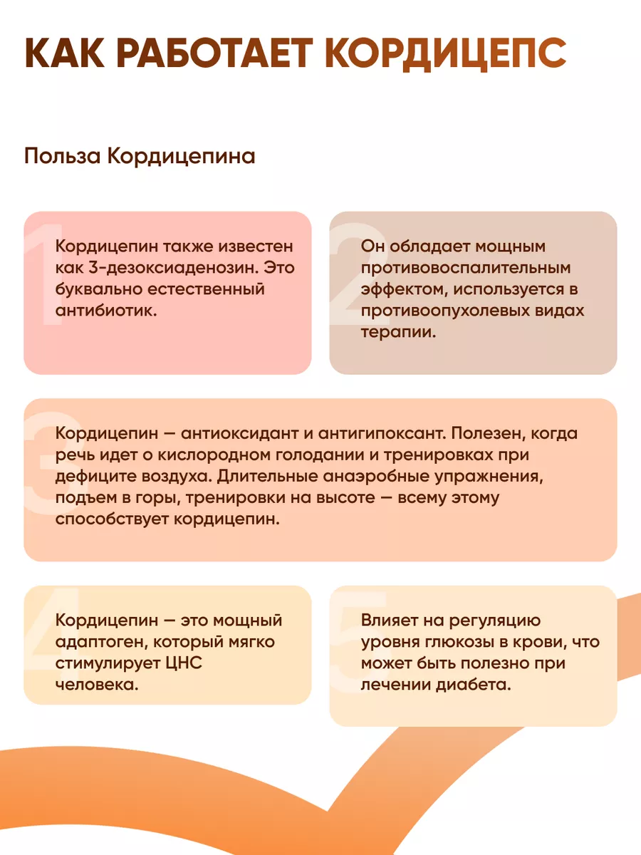 Жидкий экстракт Кордицепс (Cordyceps militaris), 30 мл MycoFarm Fungi  164435075 купить за 2 321 ₽ в интернет-магазине Wildberries