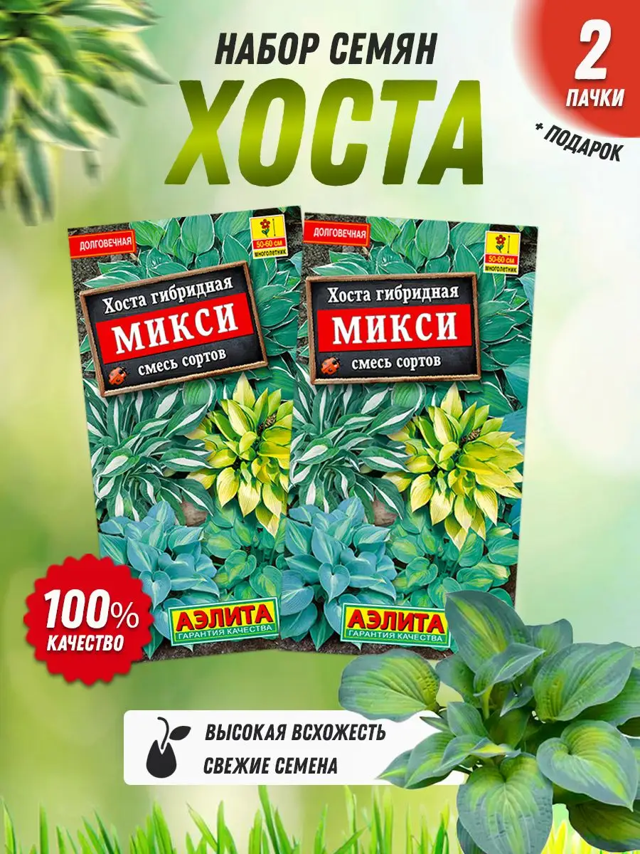 Семена цветов хоста 2 шт Агрофирма Аэлита 164467348 купить в  интернет-магазине Wildberries