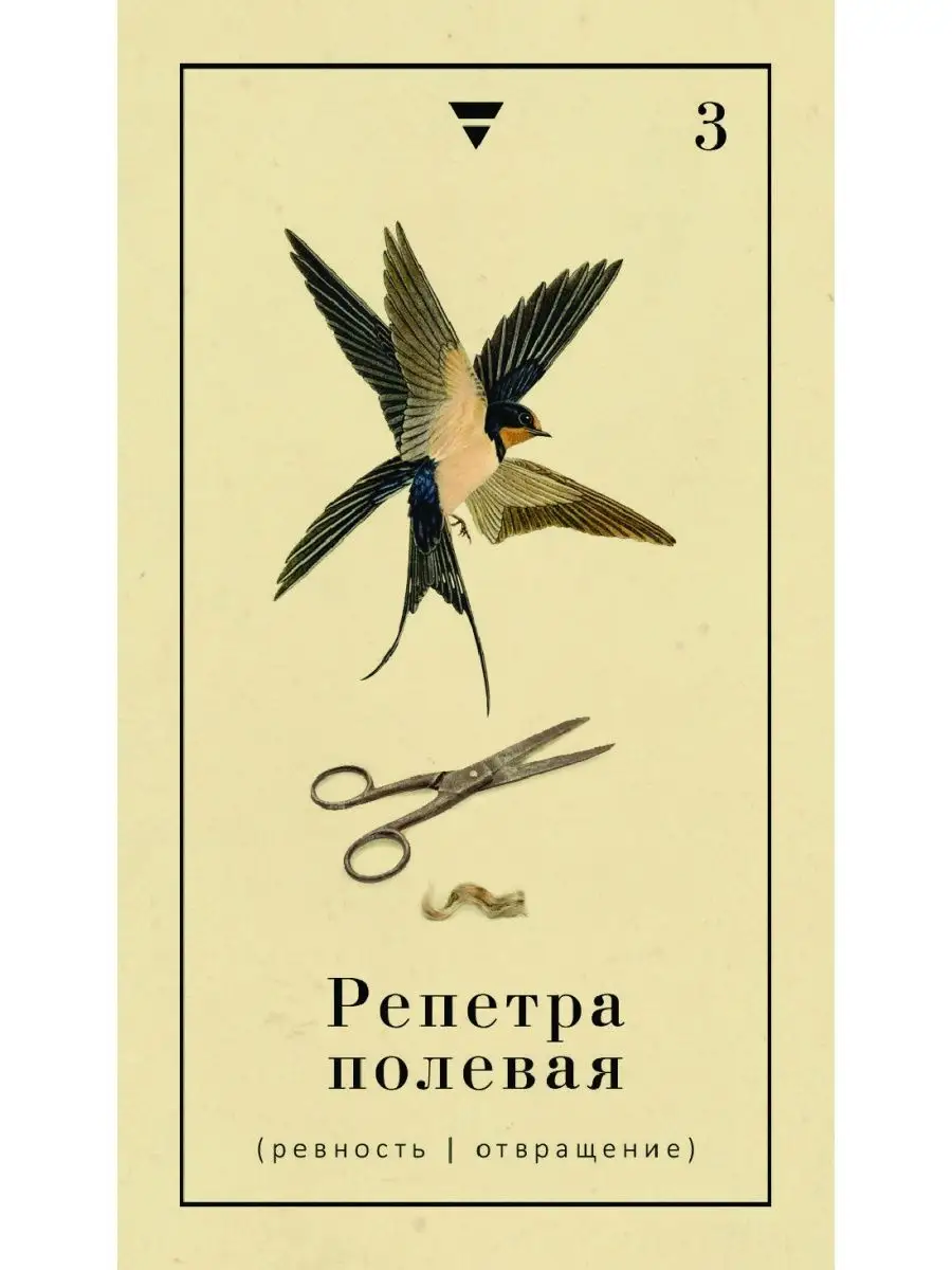 Оракул Сад Гекаты. О болезнях тела и души (50 карт) Издательская группа  Весь 164468738 купить за 413 ₽ в интернет-магазине Wildberries