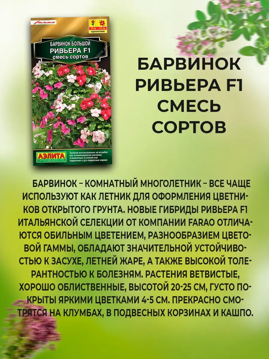 Набор Семена комнатных цветов и растений Агрофирма Аэлита 164510186 купить  за 405 ₽ в интернет-магазине Wildberries