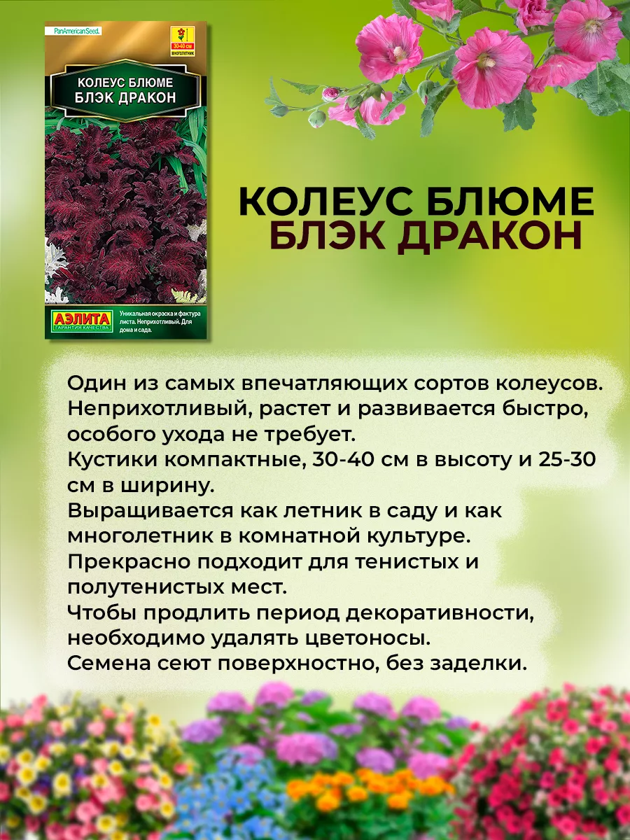 Семена цветов Колеус Агрофирма Аэлита 164510193 купить за 423 ₽ в  интернет-магазине Wildberries