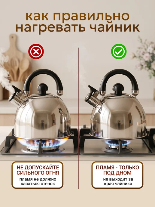 Astix Чайник для плиты со свистком 2.5л, 2,5 л, фото 5