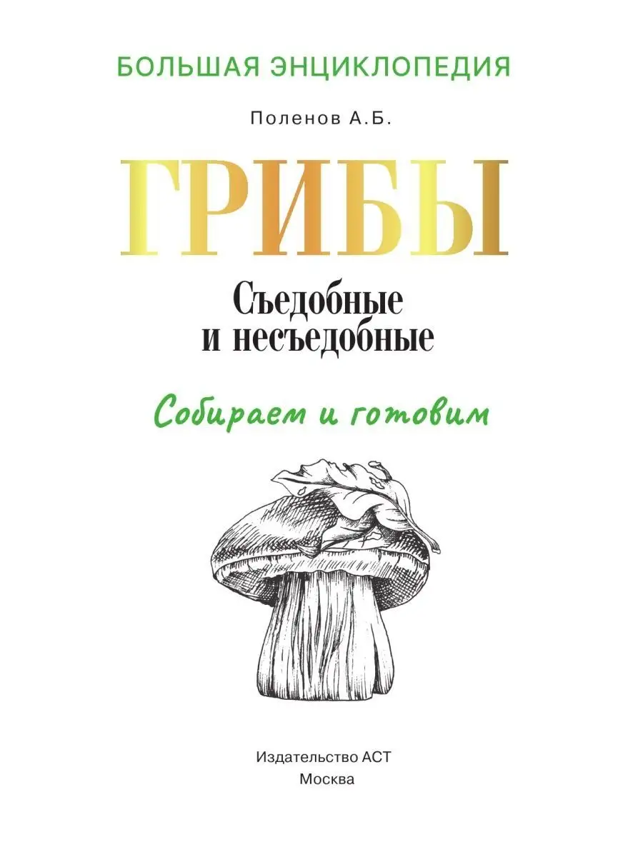 Большая энциклопедия. Грибы. Съедобные Издательство АСТ 164556789 купить в  интернет-магазине Wildberries