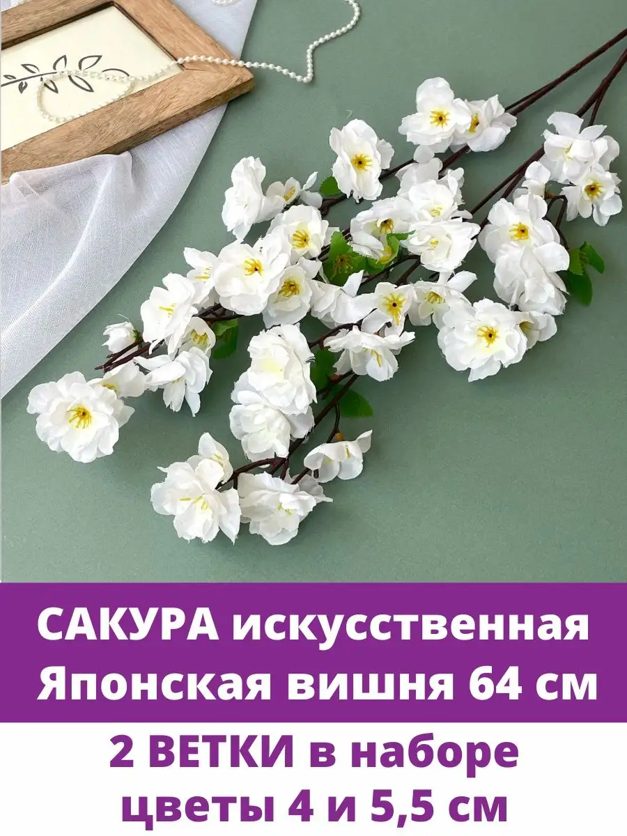 🌸🌸🌸Любование цветами: в Москве пройдёт праздник, посвящённый цветению сакуры