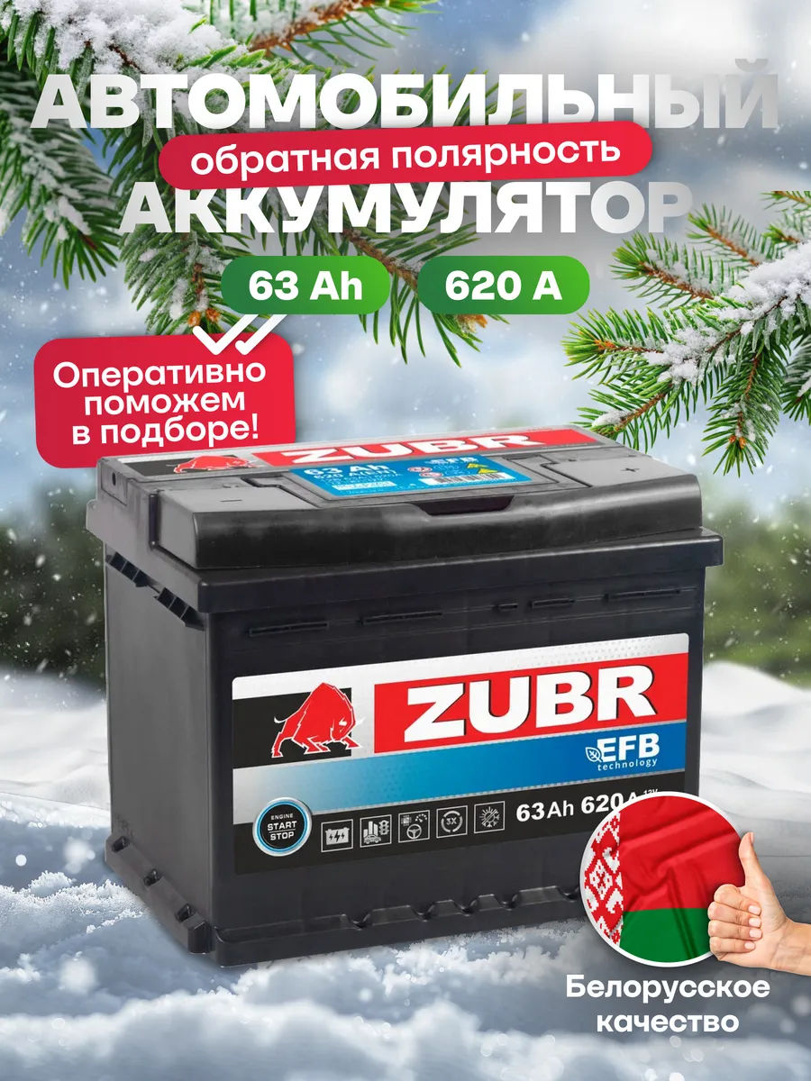 Аккумулятор автомобильный 63 Ач 620А обратная полярность EFB ZUBR 164617996  купить за 7 446 ₽ в интернет-магазине Wildberries