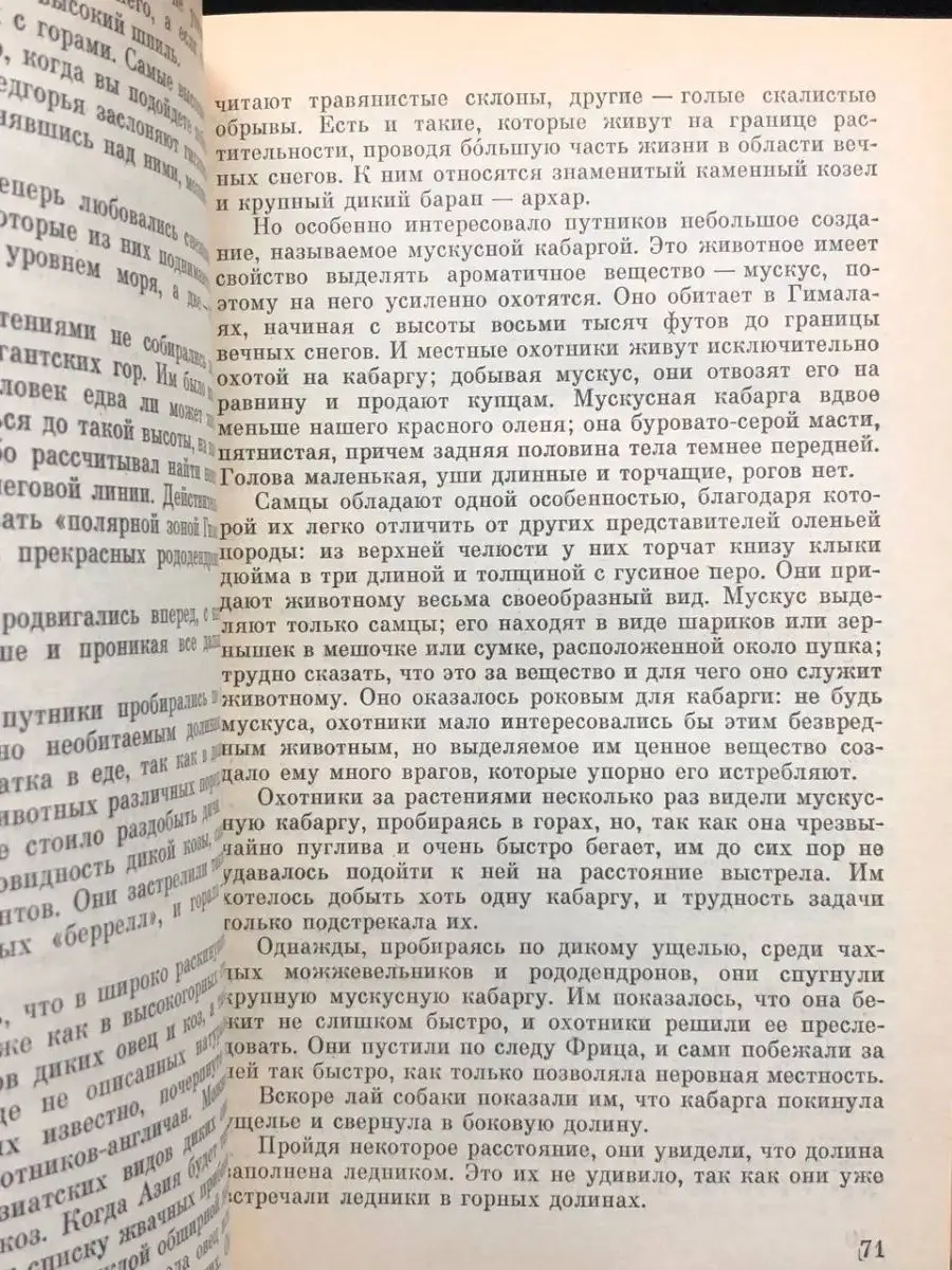 На «Мисс Азия-2023» в Индии Башкирию представит 22-летняя красавица