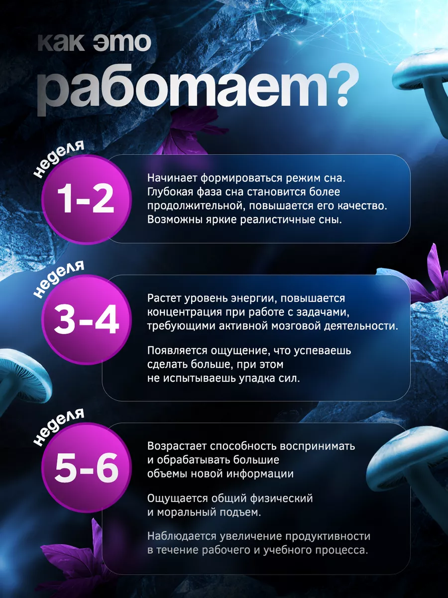 Ежовик гребенчатый в капсулах нейромикс 200 капсул по 700мг Angel Healthy  164644405 купить за 1 218 ₽ в интернет-магазине Wildberries