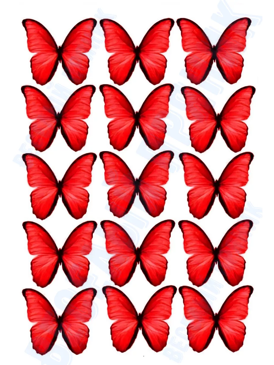 Вафельные картинки «Бабочки» - купить Вафельные картинки в интернет-магазине slep-kostroma.ru