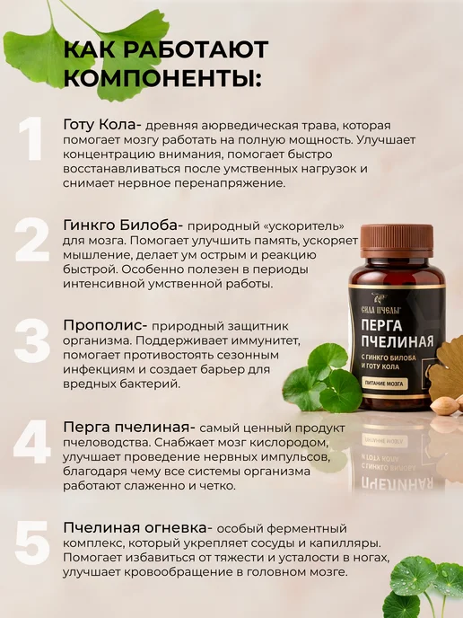 Сила Пчелы Перга пчелиная с Гинкго билоба и Готу кола, вариант, фото 3