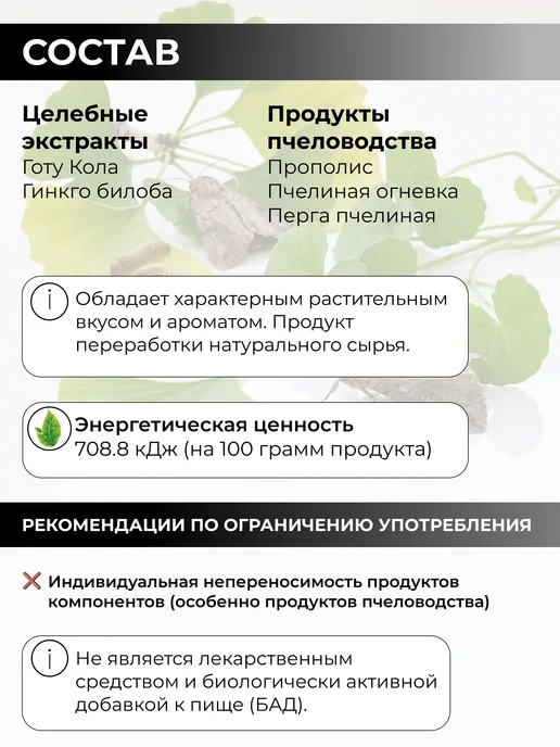 Сила Пчелы Перга пчелиная с Гинкго билоба и Готу кола, вариант, фото 4