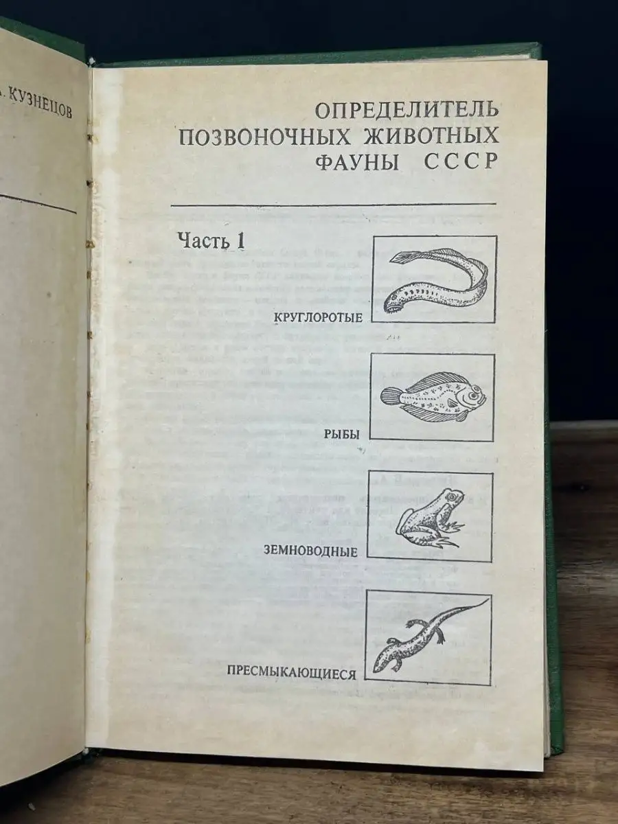 Вся правда о змеином сексе: он не такой, как мы думали