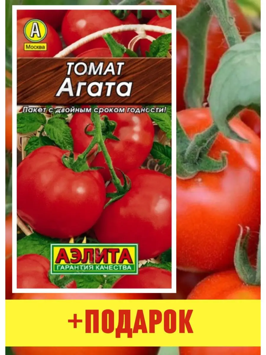 Томат Агата Характеристика И Фото