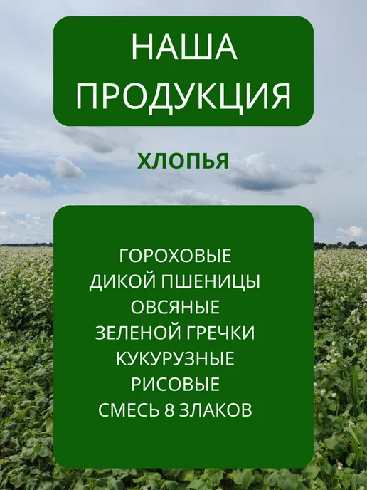 ЧЕБРИКА Гречка зеленая крупа для проращивания и каши, зеленый, фото 7