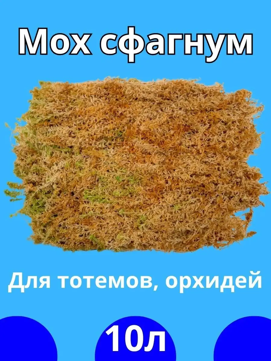 Мох сфагнум 