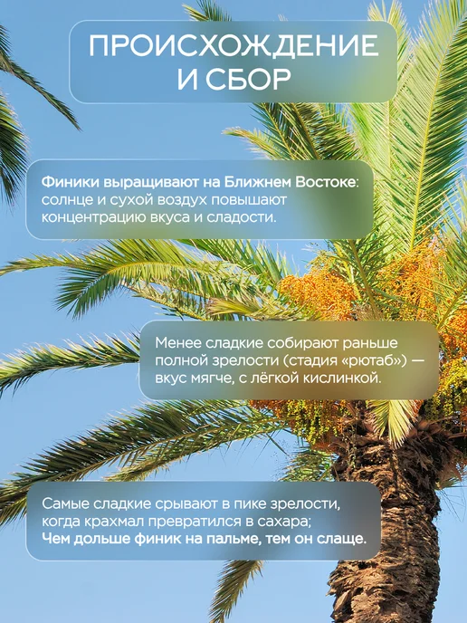 NARMAK PREMIUM Финики Королевские Меджул без сахара натуральные 1кг, 1 кг, фото 4