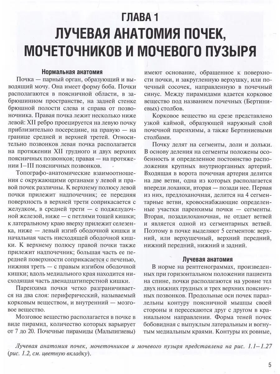 Визуализация заболеваний почек,мочеточников и мочевого пузыр ЭЛБИ-СПб  165035918 купить за 1 417 ₽ в интернет-магазине Wildberries